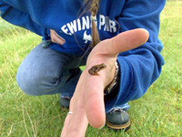 Shonagh Hurley and a small frog